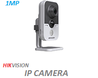 Camera IP DS-2CD2410F-IW