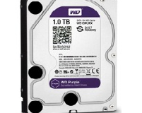 Ổ cứng western 1TB